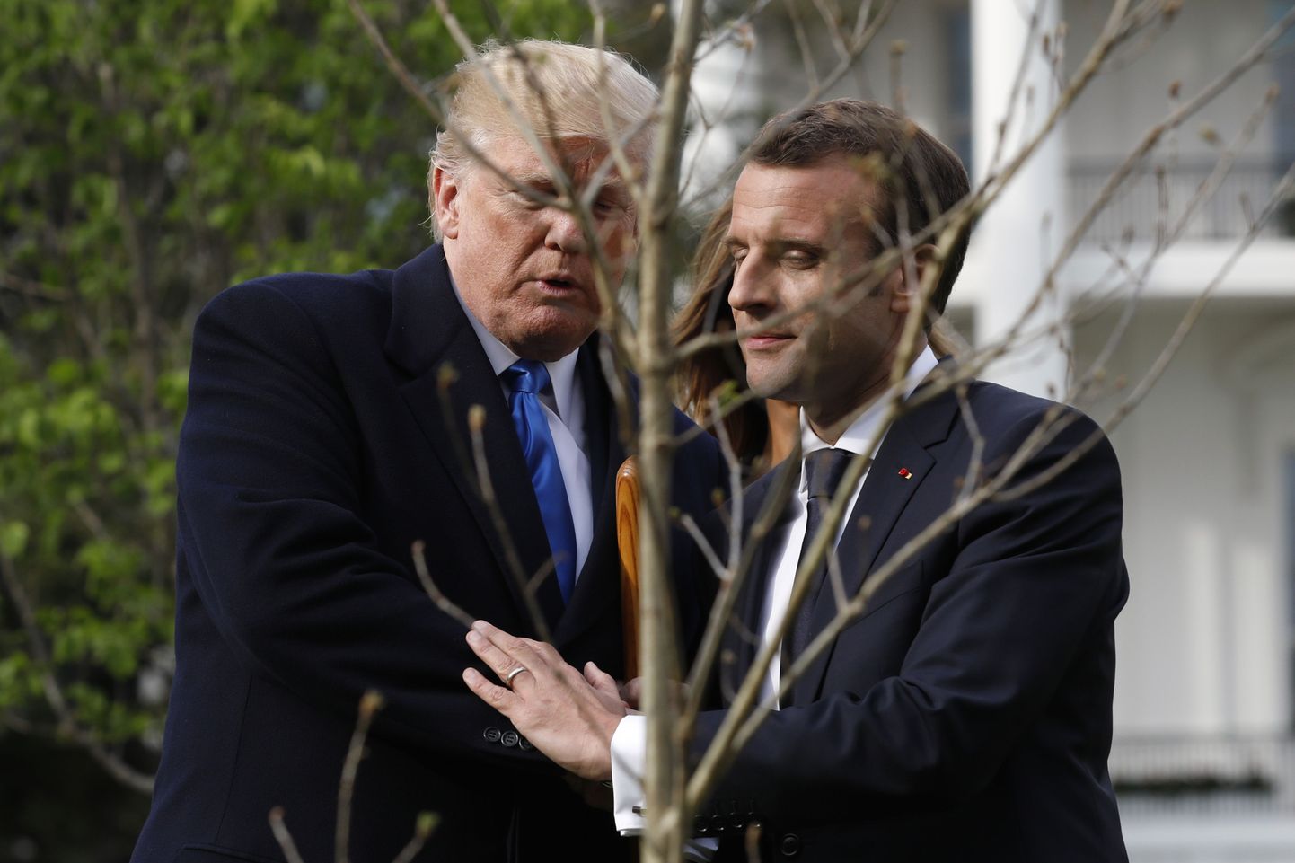 Donald Trump (vasakul) ja Emmanuel Macron pärast Valge Maja aeda tammepuu istutamist.