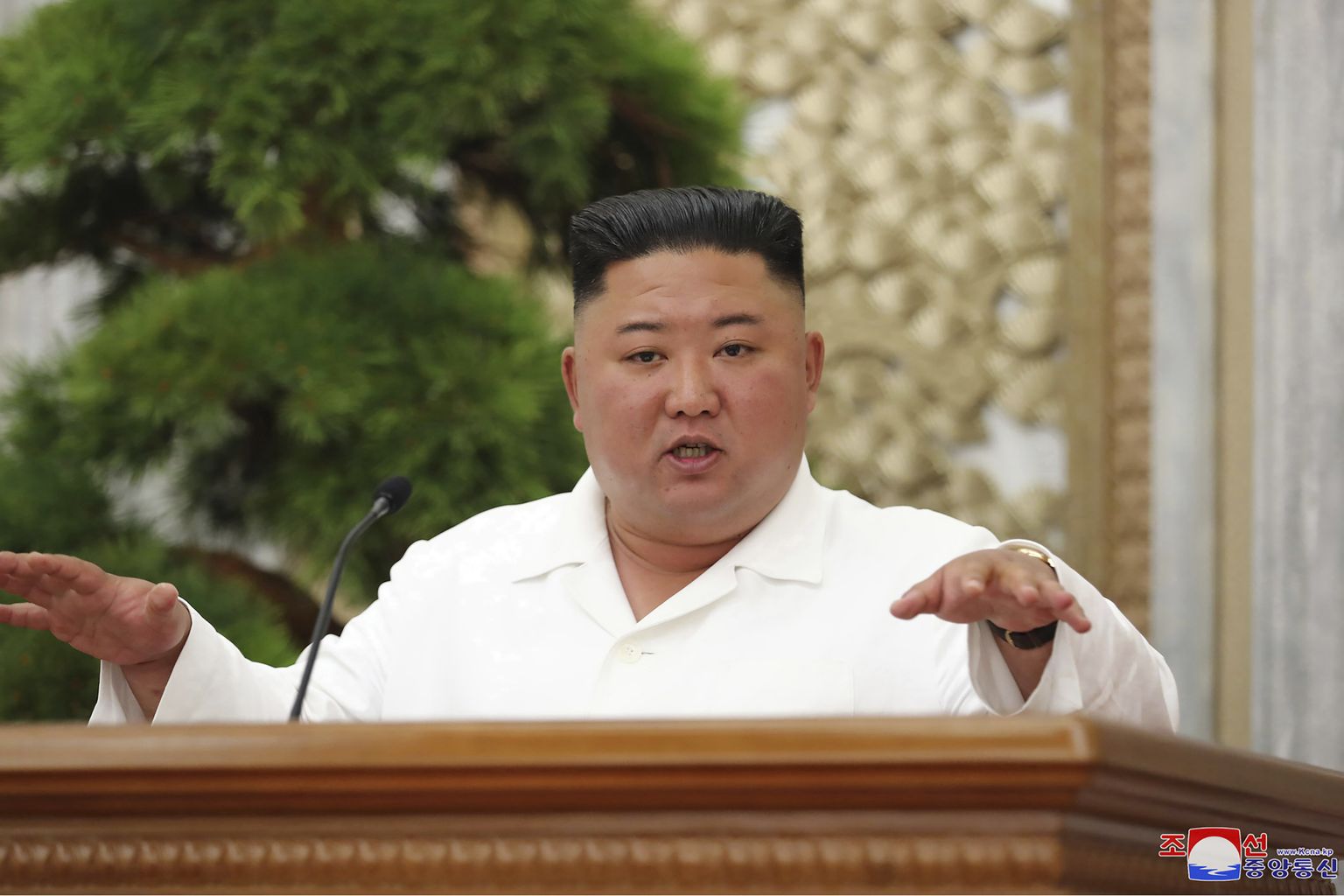 Ким Чен Ын, высший руководитель КНДР