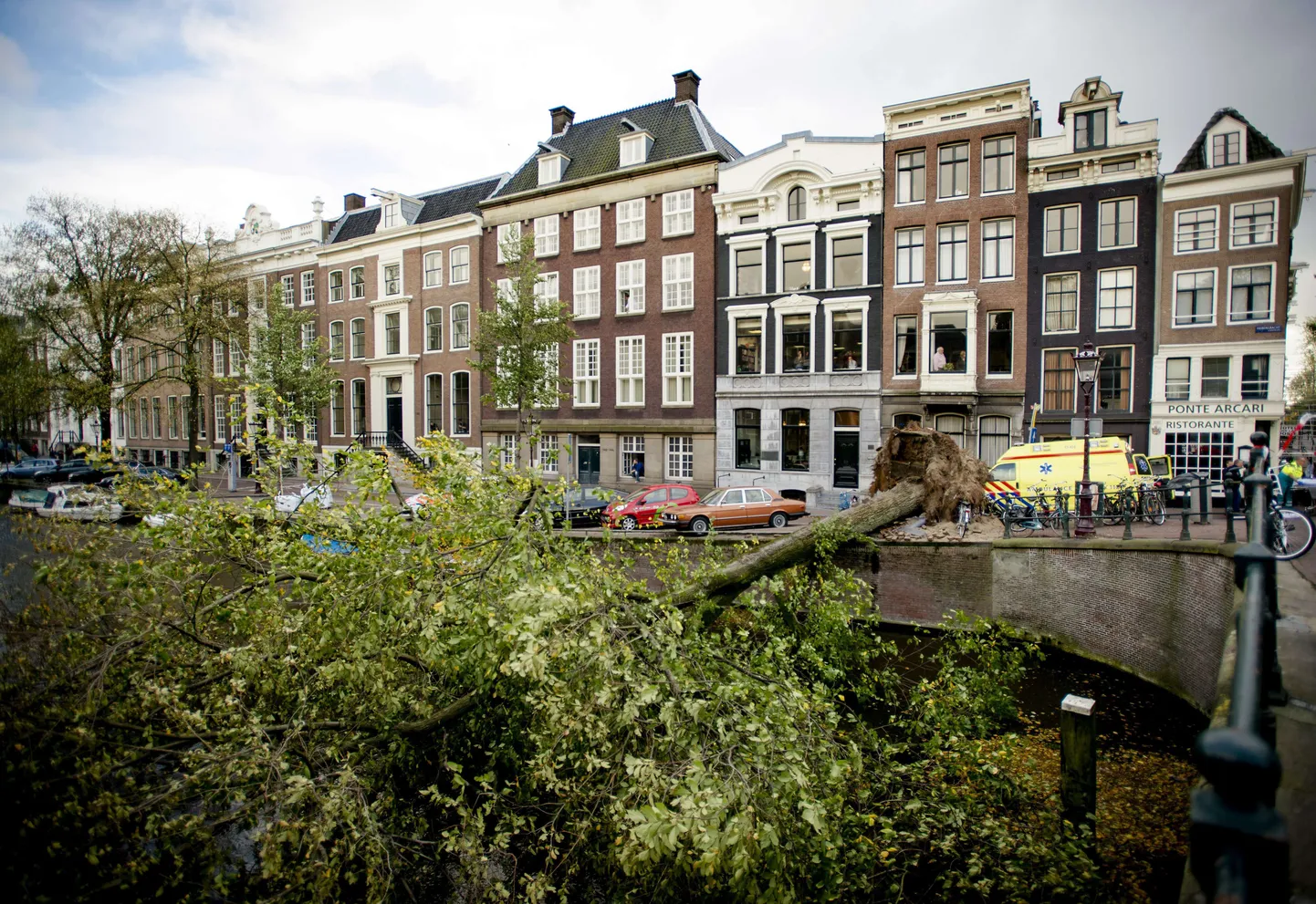 Tormis murdunud puu kukkus Amsterdamis  Herengrachti kanalisse.