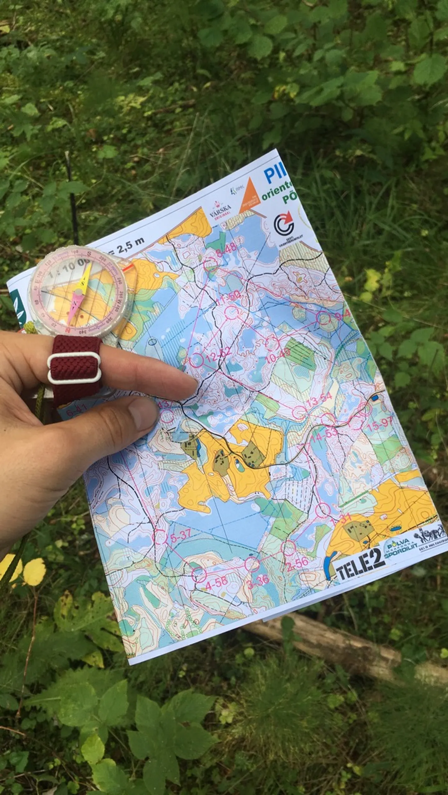Orienteerumine.
