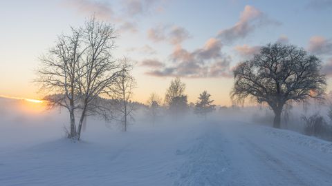 https://f10.pmo.ee/nj5tqhNwaM7t7VmFWYey_JLipBM=/480x270/smart/nginx/o/2026/01/30/17412710t1h6afb.jpg