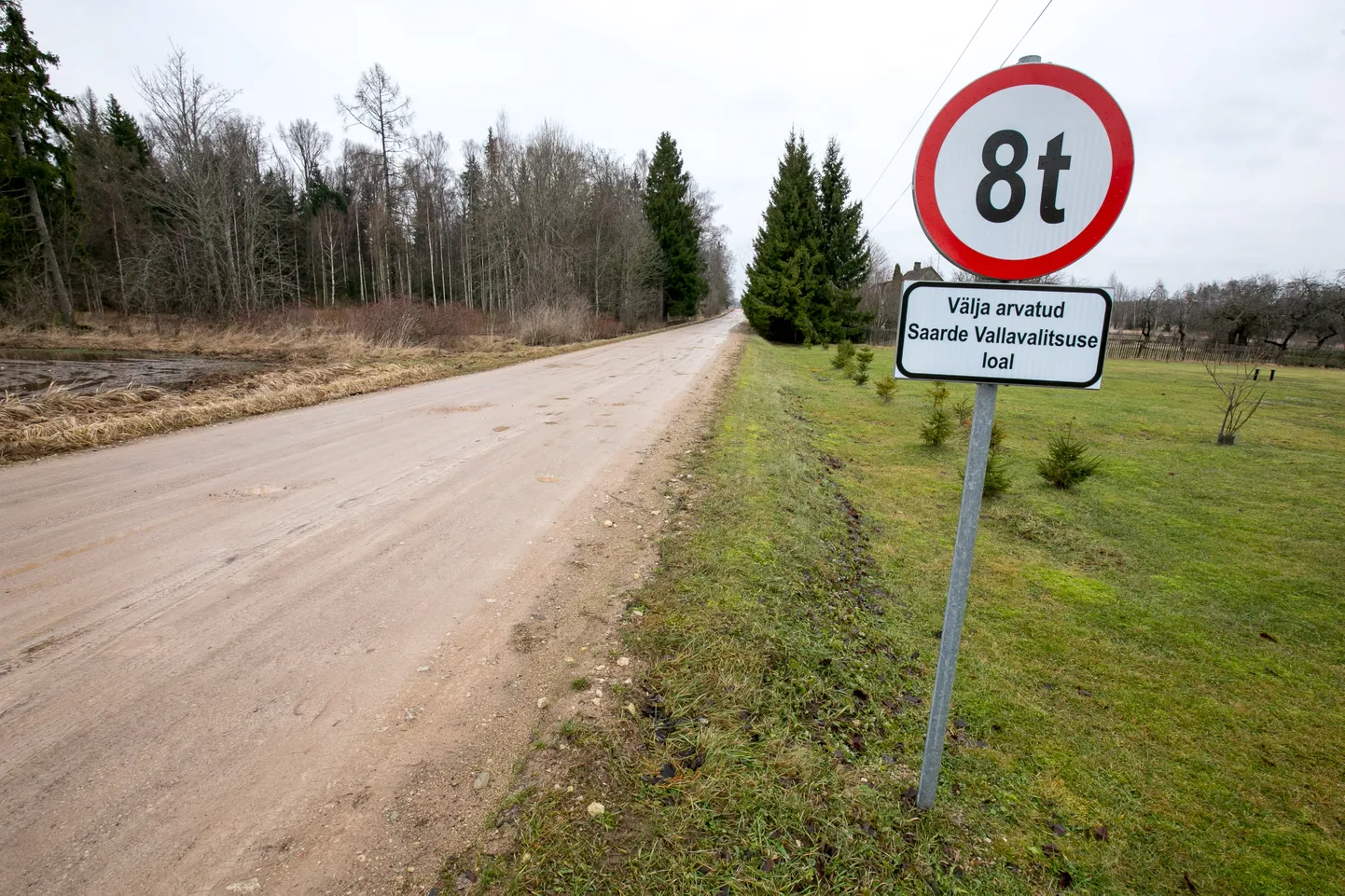 Massipiirangu liiklusmärk. Foto on illustreeriv.