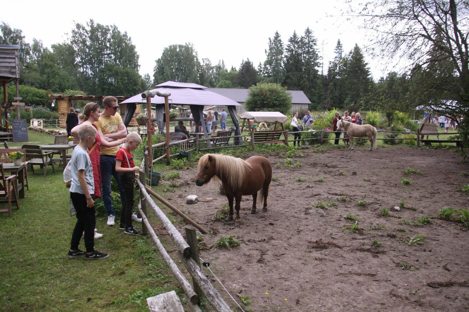Lisaks hobuste ja ponide vaatamisele sai avatud talude päeval soovi korral ratsudega ka sõita.