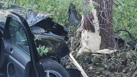 Фото ⟩ Автомобиль вылетел с дороги и врезался в дерево