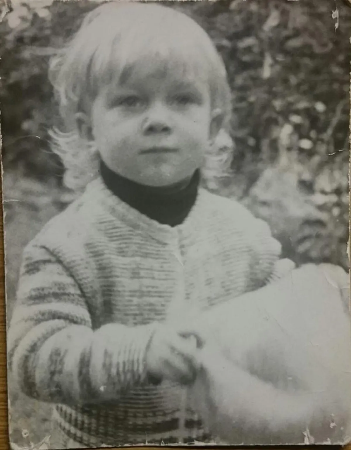 Artikli foto