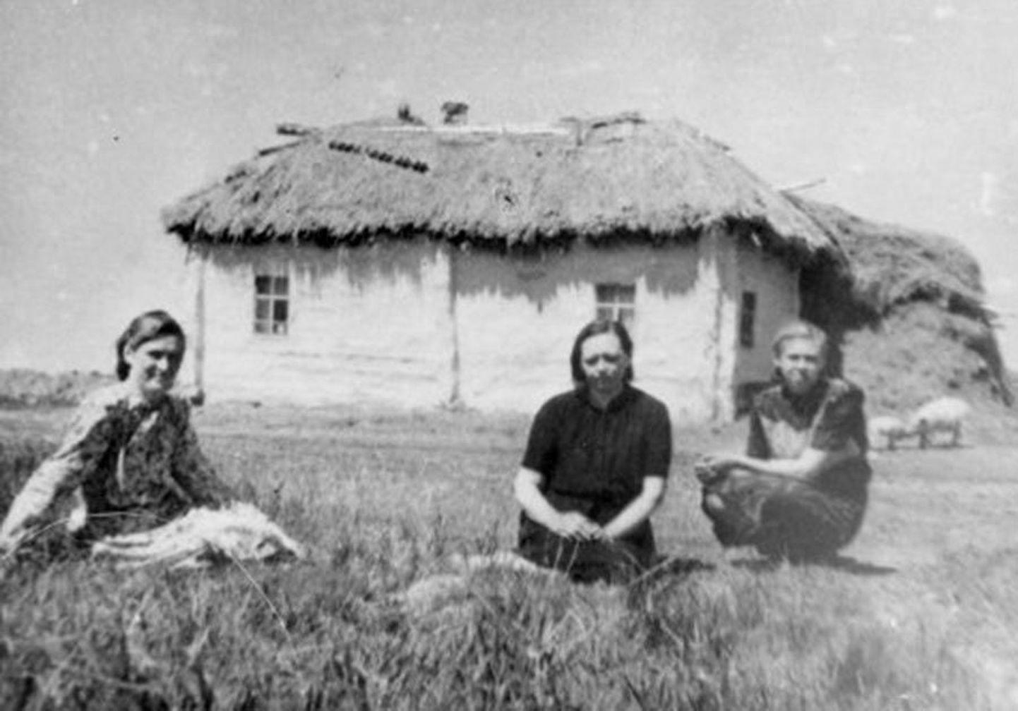 Nii elas Siberis Novosibirski oblastis Kargatski rajoonis Ust Sumi külas Kärstna Nägutsi talu perenaine Salli Lansoo oma tütardega.