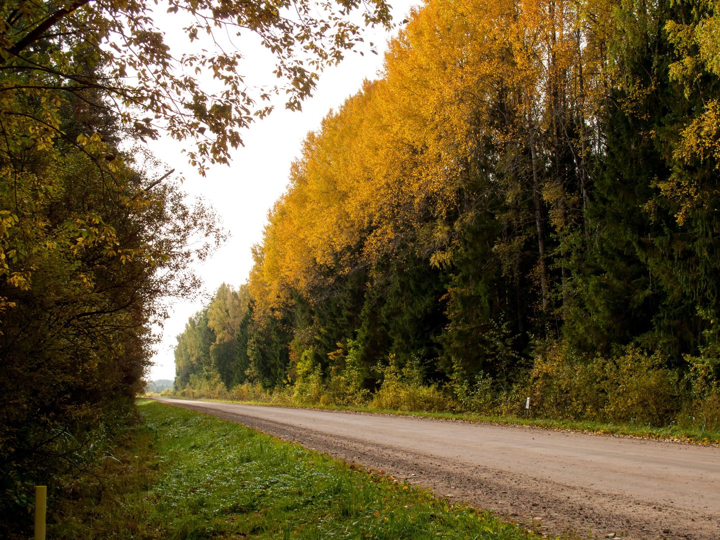 Осень в Эстонии.