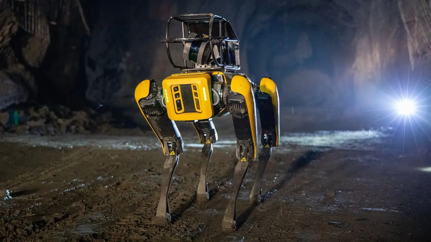 Robotkoer Aurora esmane ülesanne lennujaamas saab olema lennuradade juurest lindude ja metsloomade eemalepeletamine.