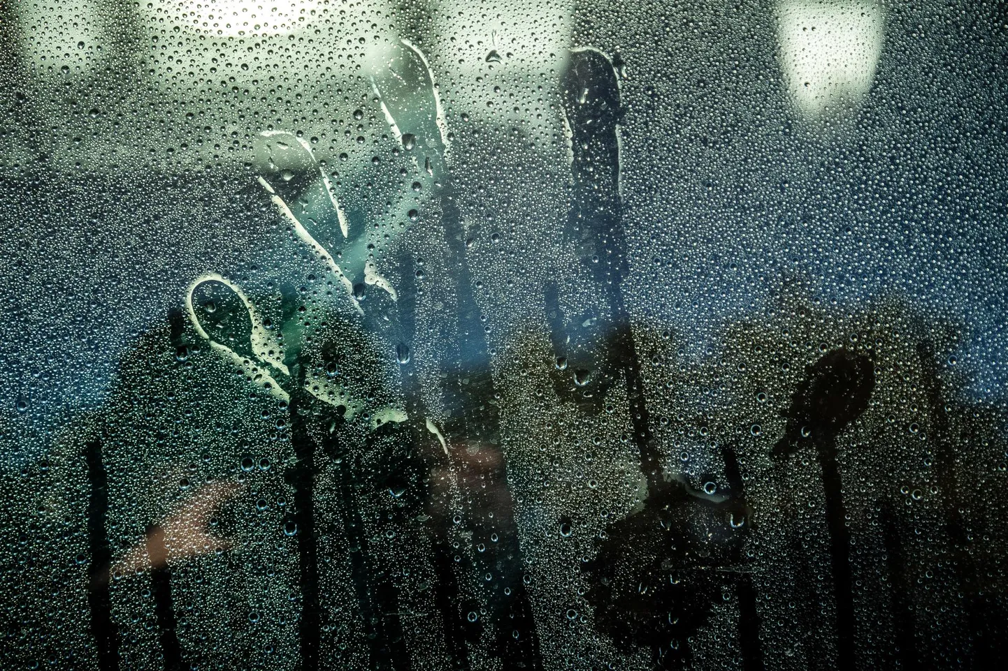 Фото статьи