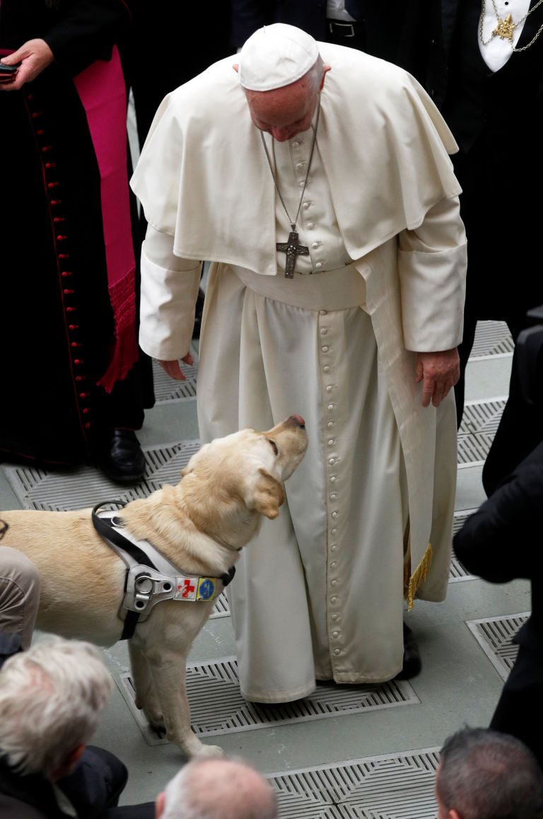 Paavst Franciscus 19. detsembril avalikul missal õnnistamas koera