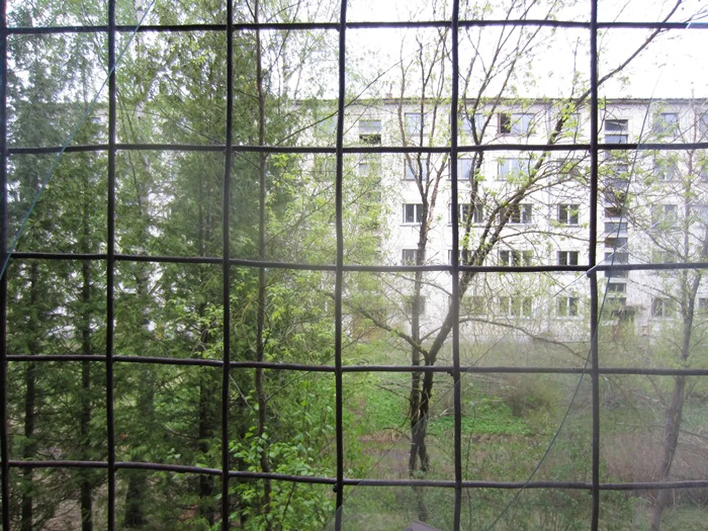 Raksta foto