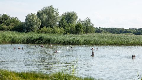 Harku järves ujumine ei ole ajutiselt soovitatav