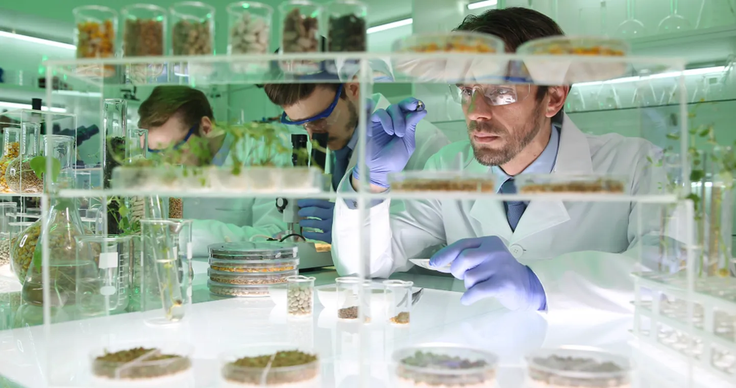 Agrikultuuri laboratoorium