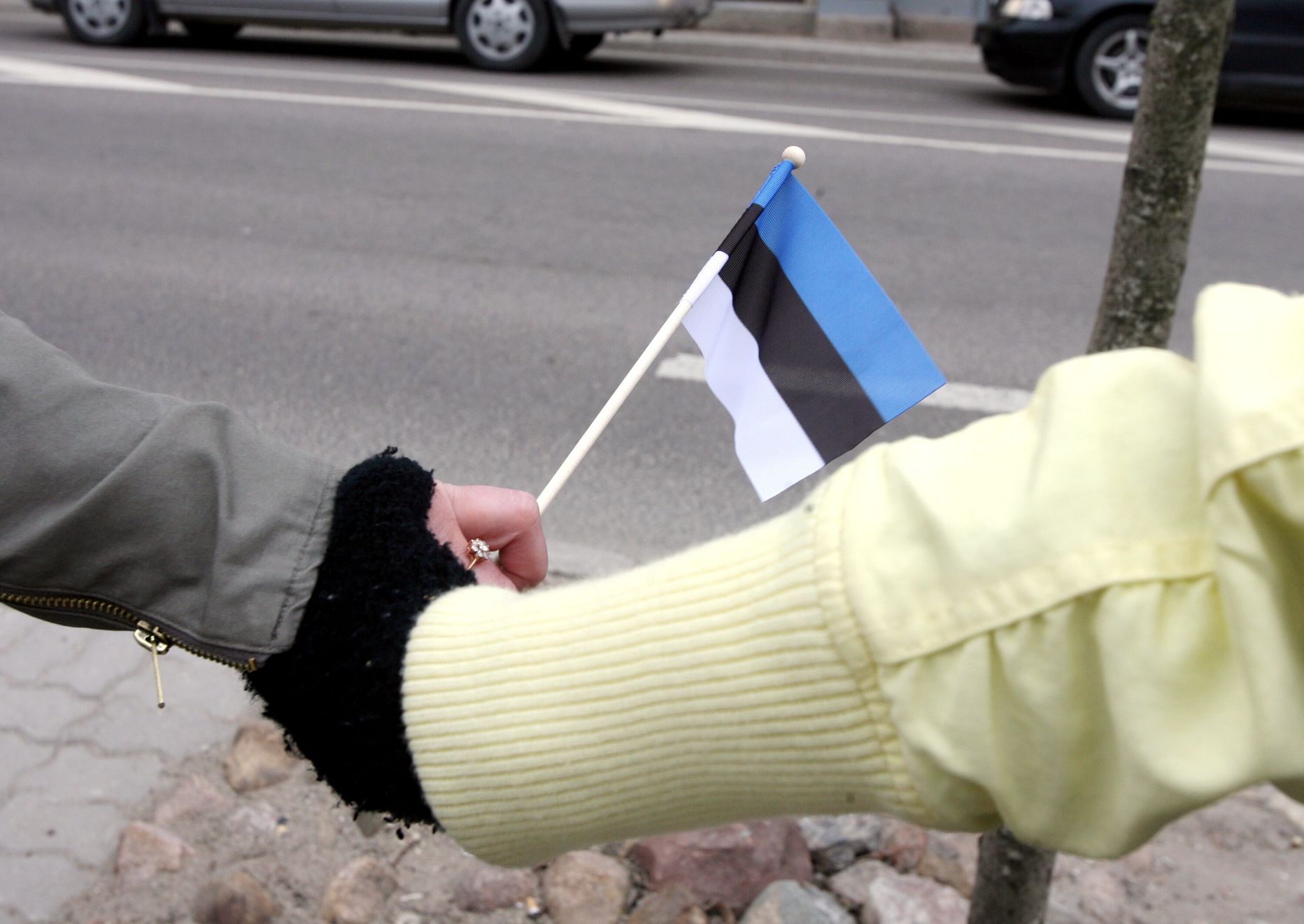Eesti lipp sümboolses ketis
