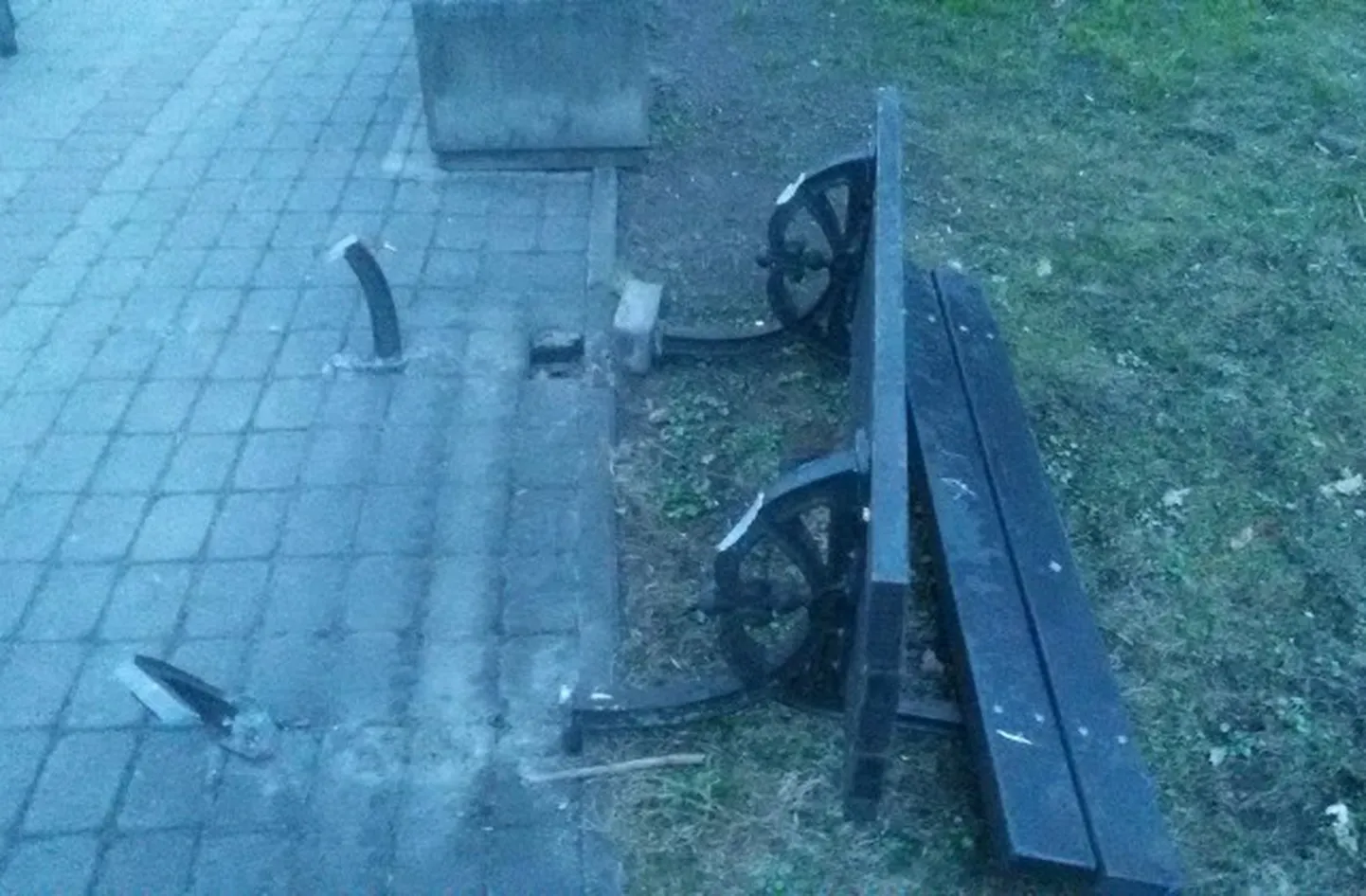 Фото статьи