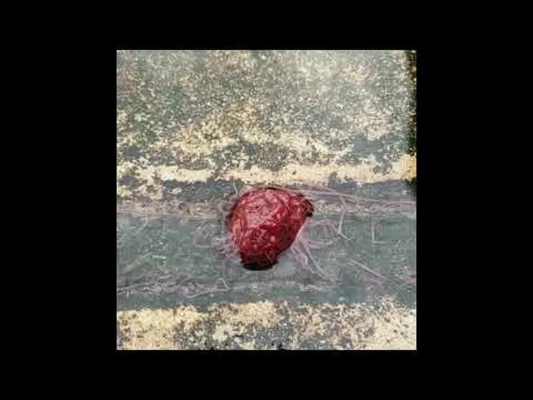 Harilikest mudatuppedest moodustunud «kera»