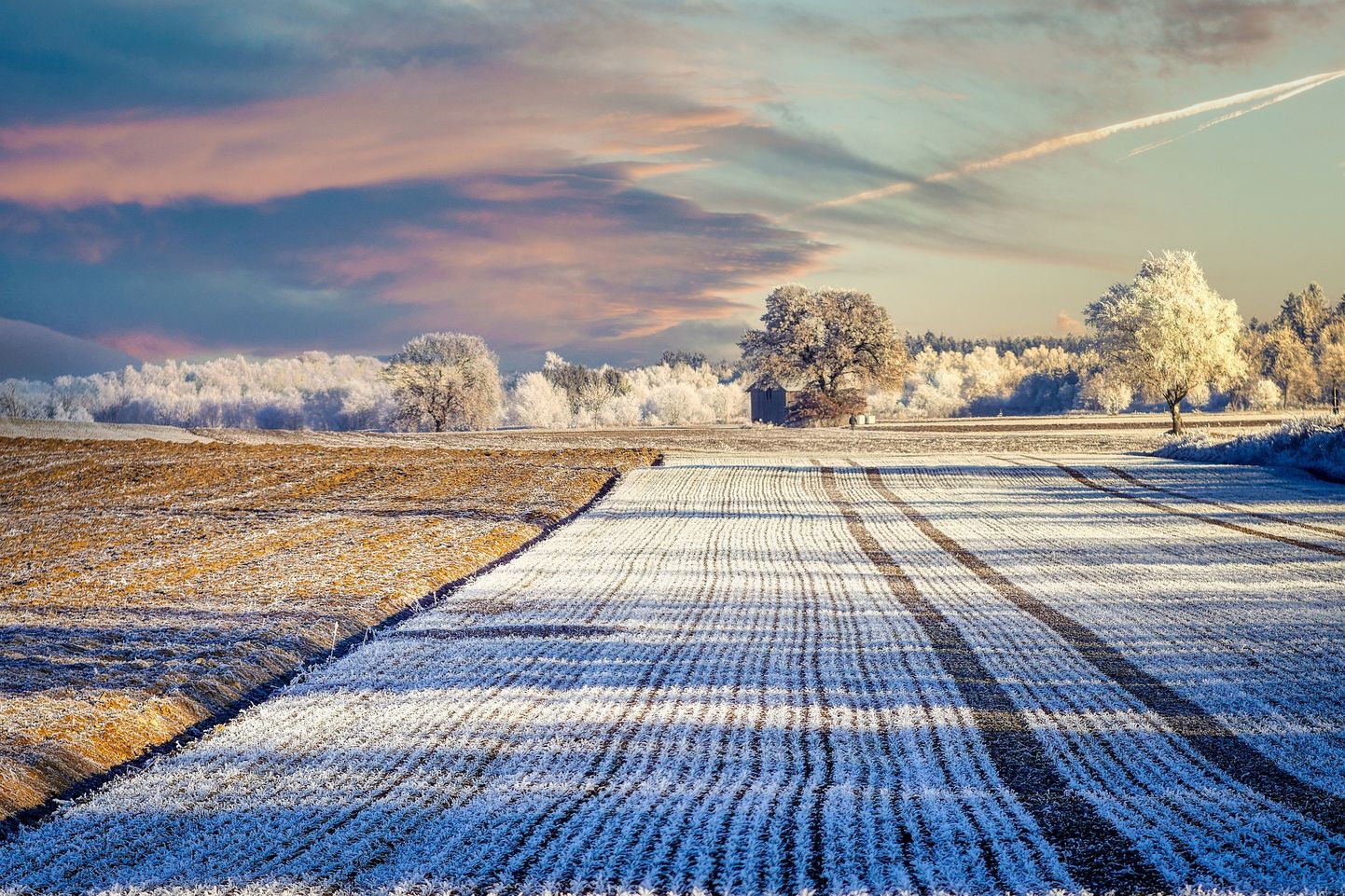 Apstrādāta lauksaimniecības zeme ziemā. Ilustratīvs attēls.