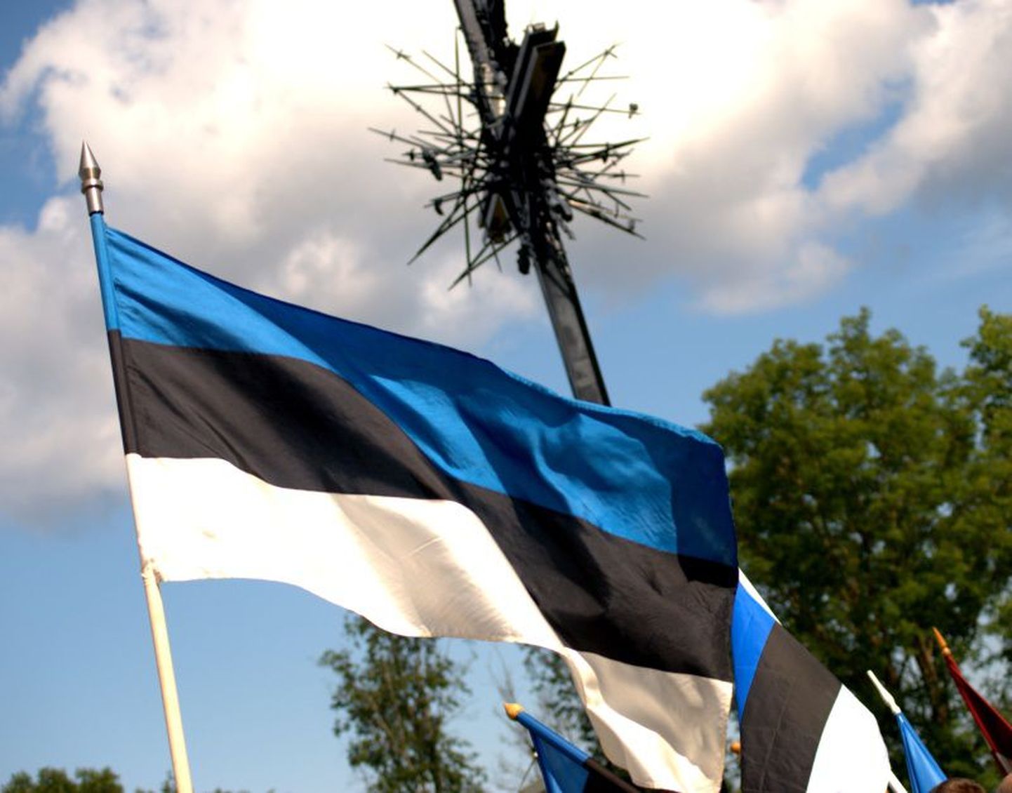 Флаг Эстонии в Синимяэ на встрече ветеранов "Ваффен СС" и членов "Клуба друзей Эстонского легиона"