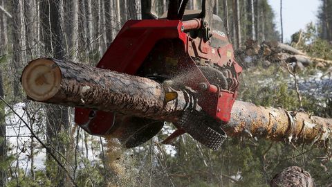 Löögi on saanud Vene toormest sõltuv puidusektor