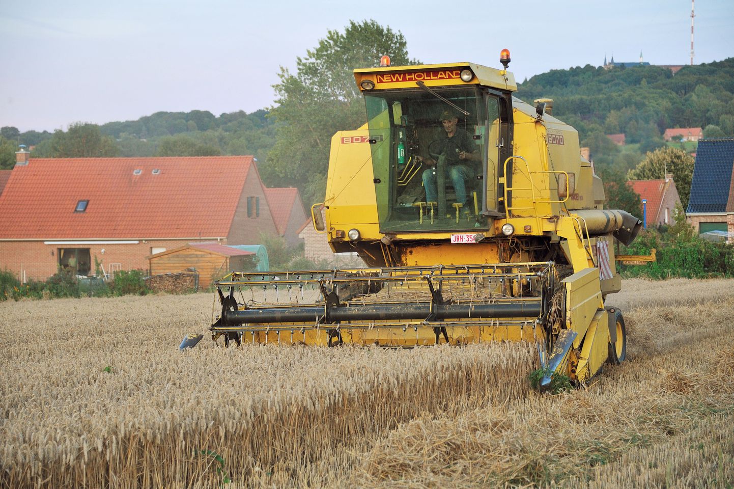 A farmer drives a harvesting machine on a field on August  16, 2011 in Godewaersvelde, northern France, during the wheat harvest.  AFP PHOTO PHILIPPE HUGUEN