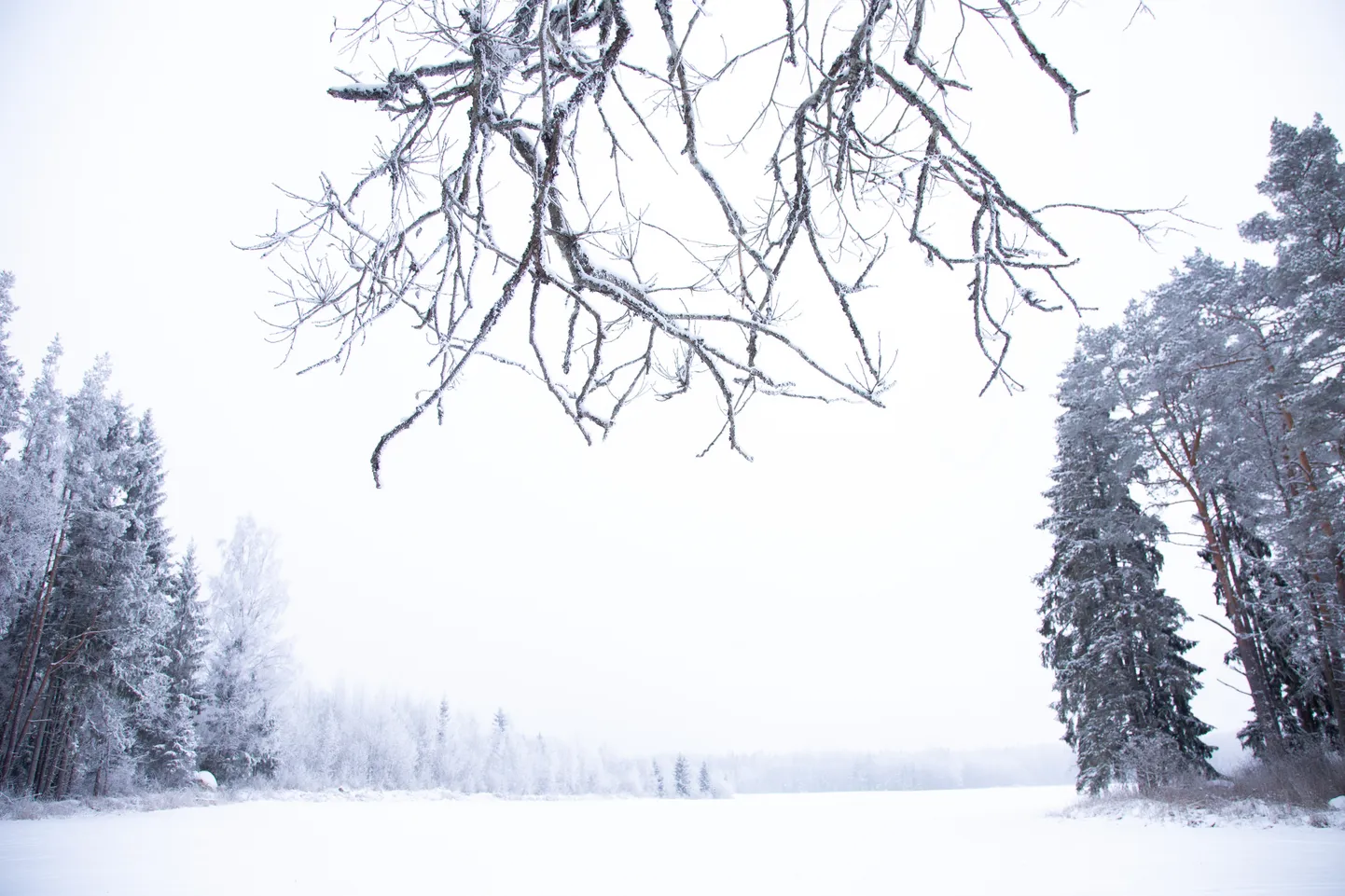 Talveilm Järvamaal