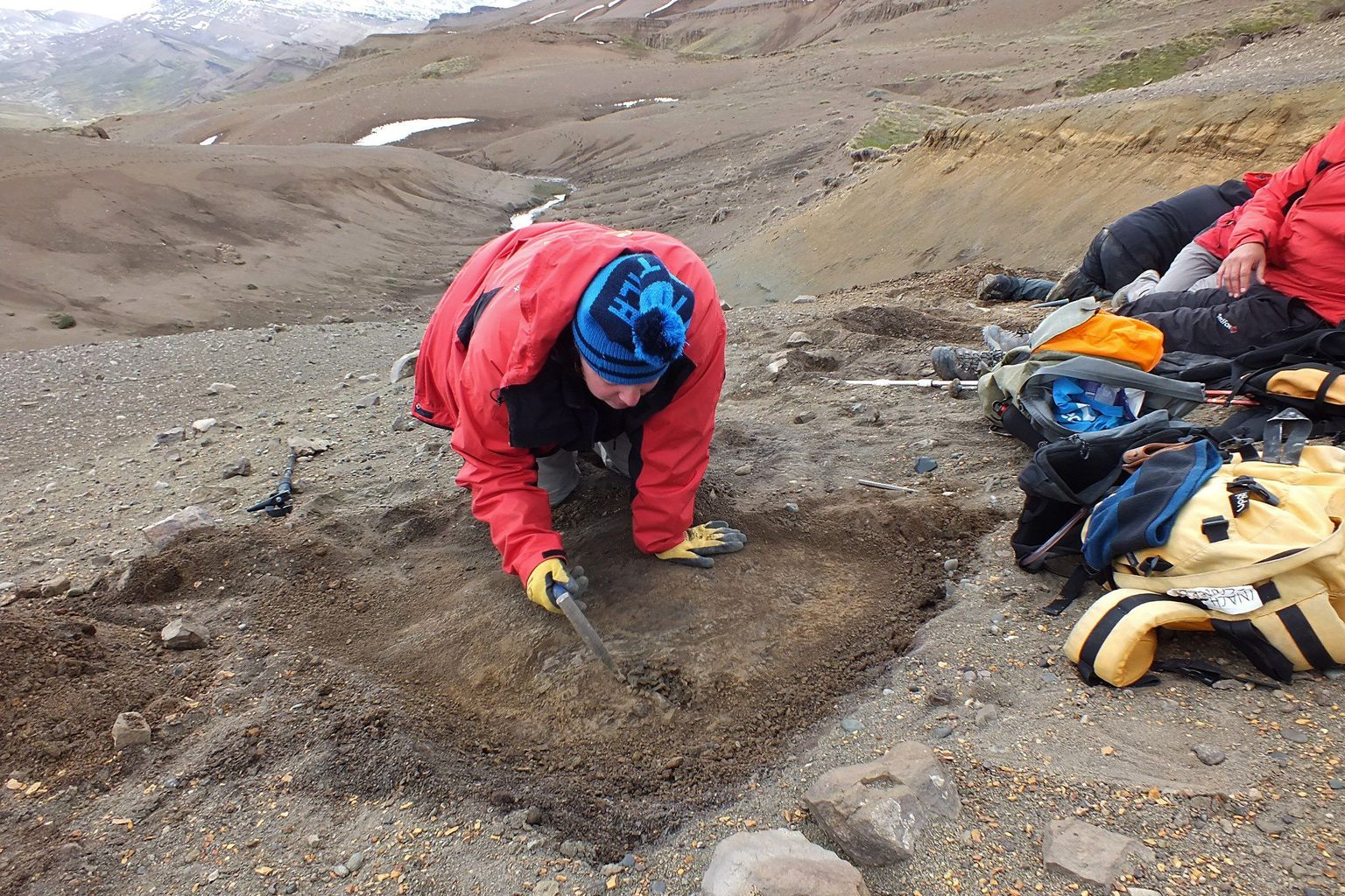 Antarktikast leiti üle ühe tonni iidsete loomade fossiile