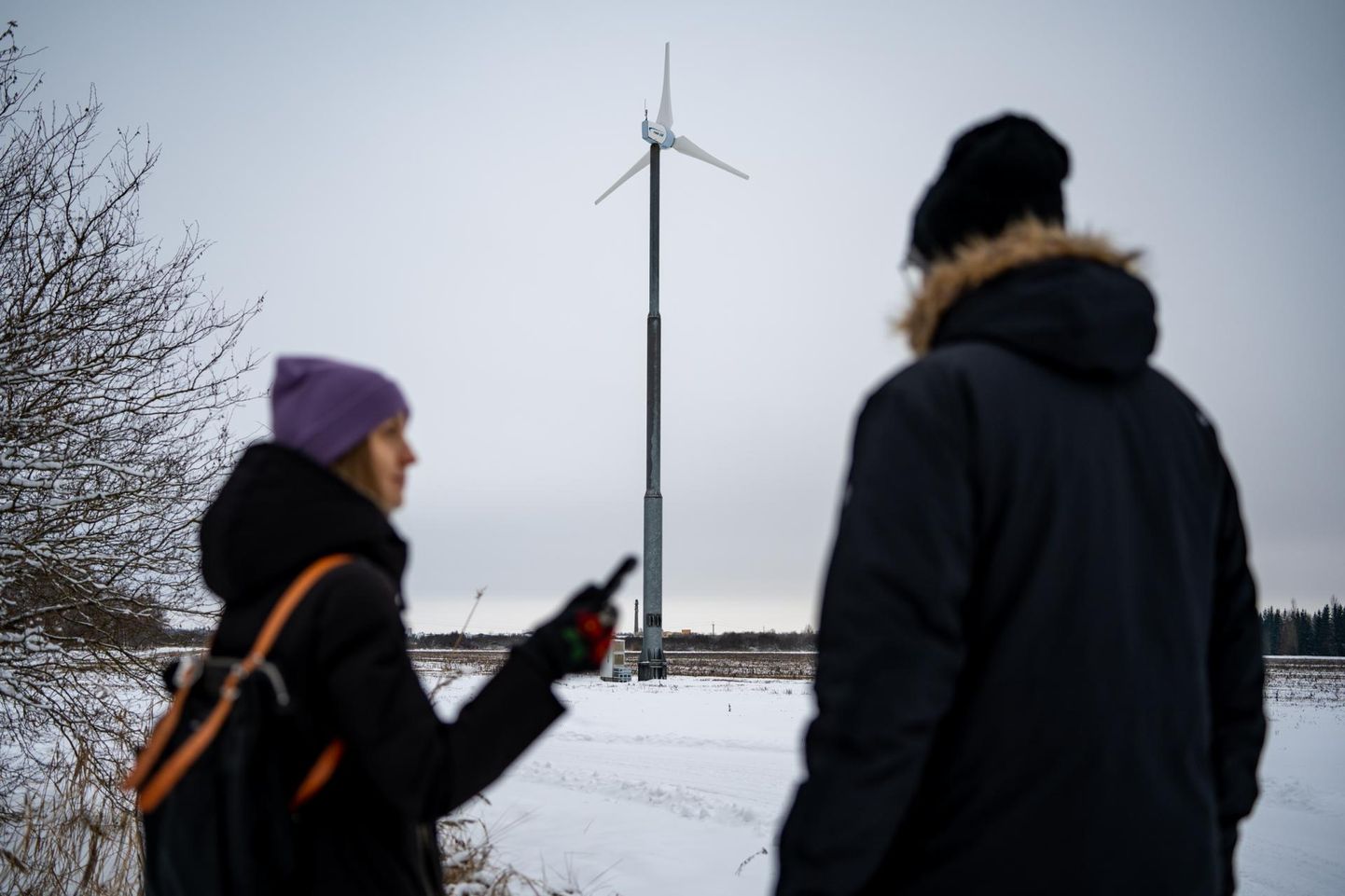 Üks kolmest Pärnumaa väiketuulikuomanikust Ahti Mölder on hariduselt Eesti maaülikooli energiakasutuse eriala magister, sealt ka tema taastuvenergia pisik.