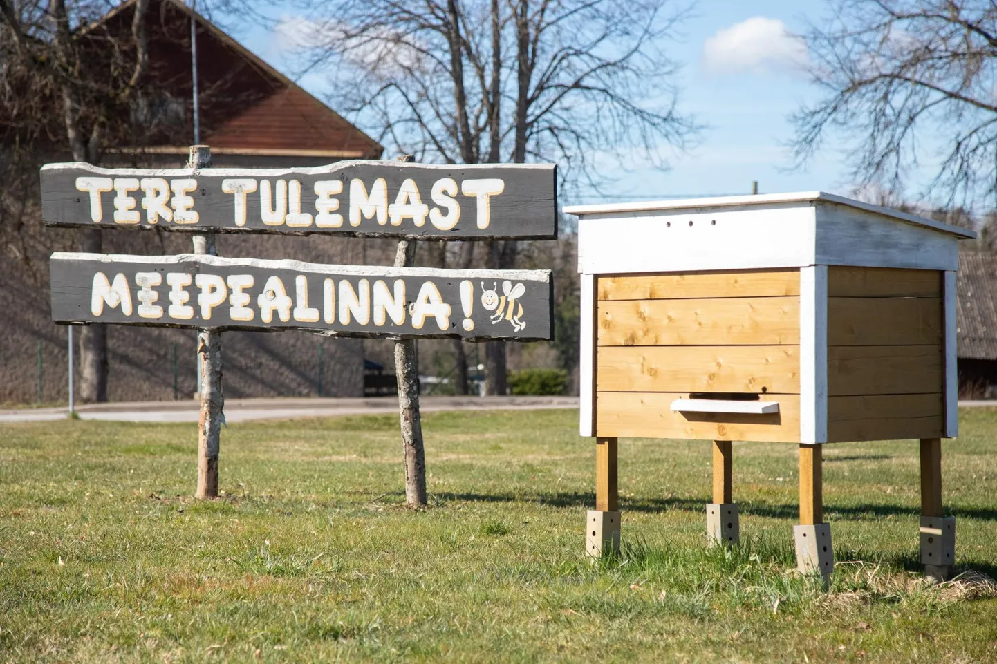 Meepealinn Karksi-Nuia korraldab juba kolmandat aastat rahvusvahelise mesilaste päeva auks laste ja noorte luulevõistluse.