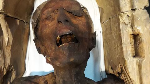 Teadlased: Vana-Egiptuse «karjuv» naine võis surra piinade tagajärjel