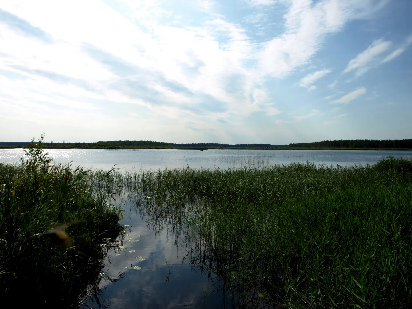 Endla järv.