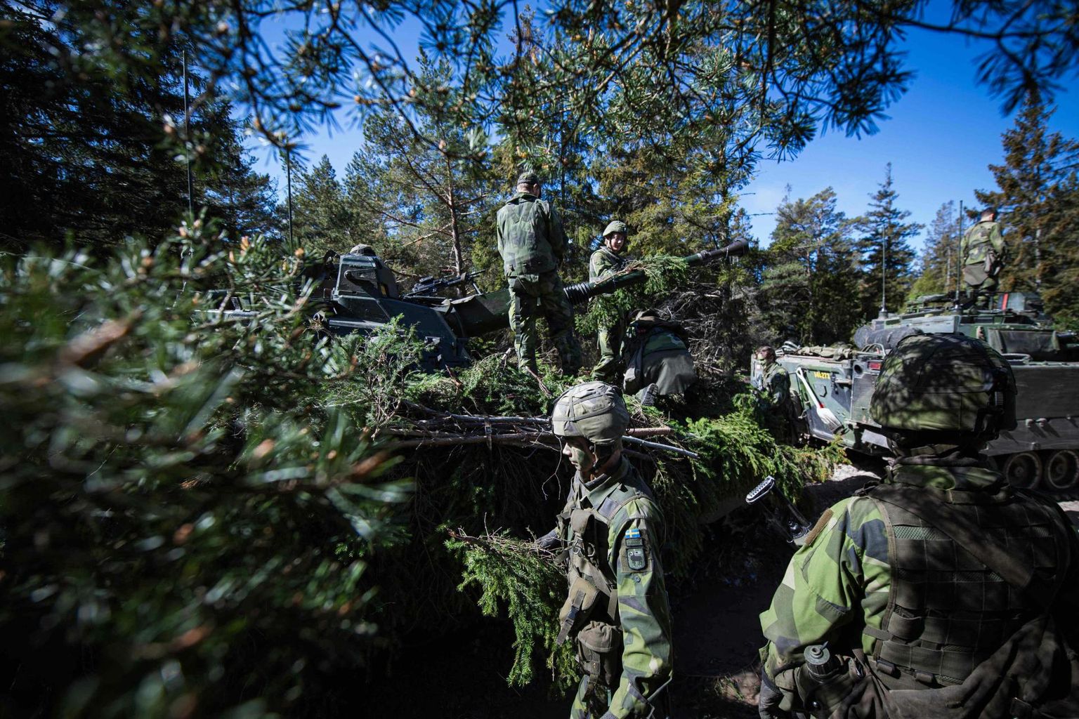 Rootsi kaitseväe Gotlandi rügemendi sõdurid maskeerivad soomukit õppusel Visby lähistel mai keskel. 