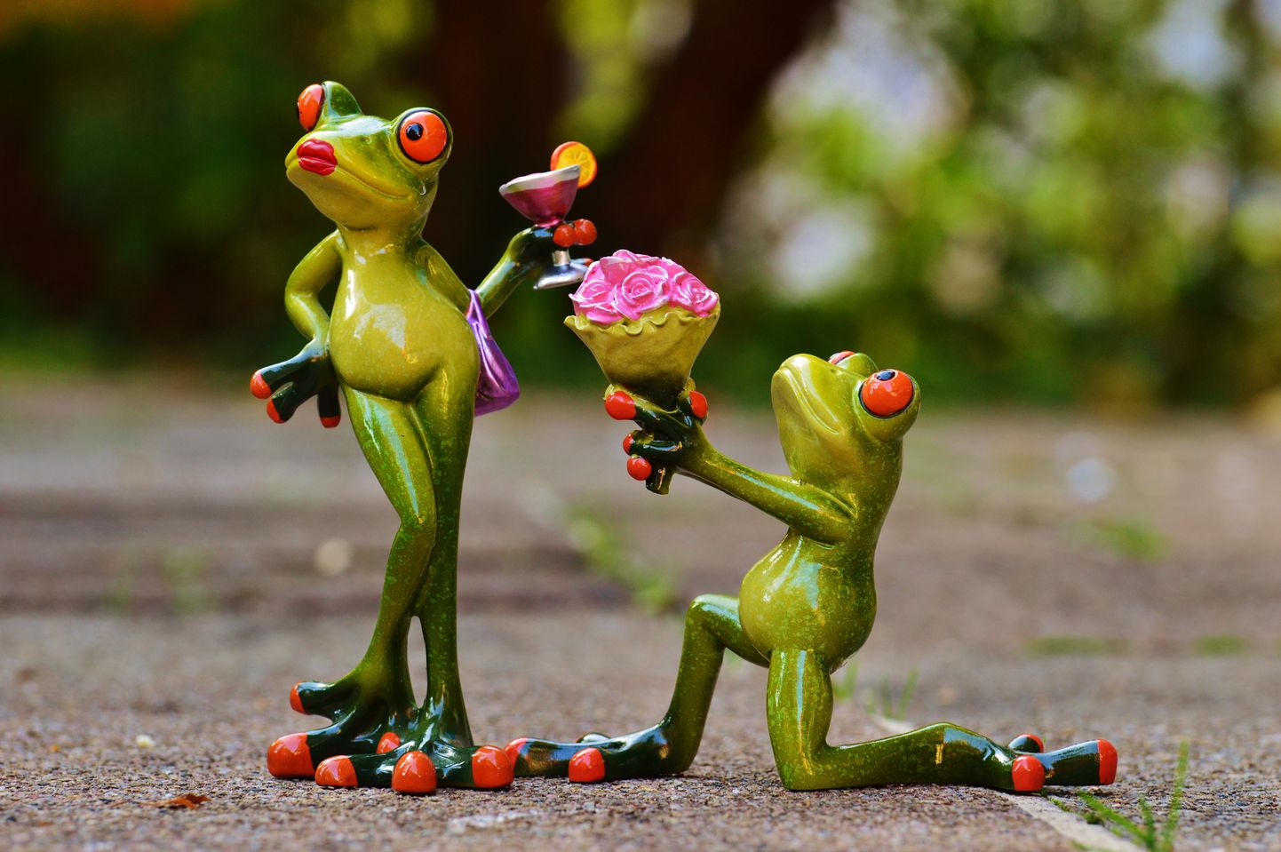 Лягушка дарит предположительно украденные с клумбы цветы суженой. Фото иллюстративное
