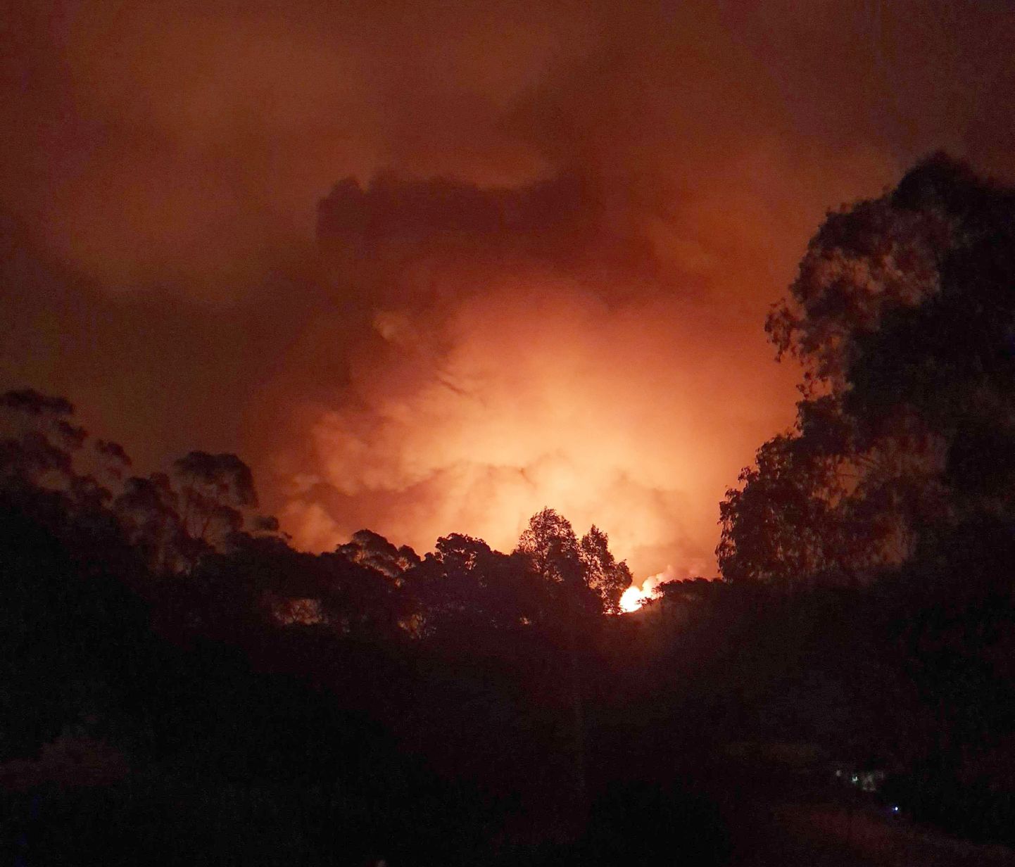 Savvaļas ugunsgrēki Austrālijā.