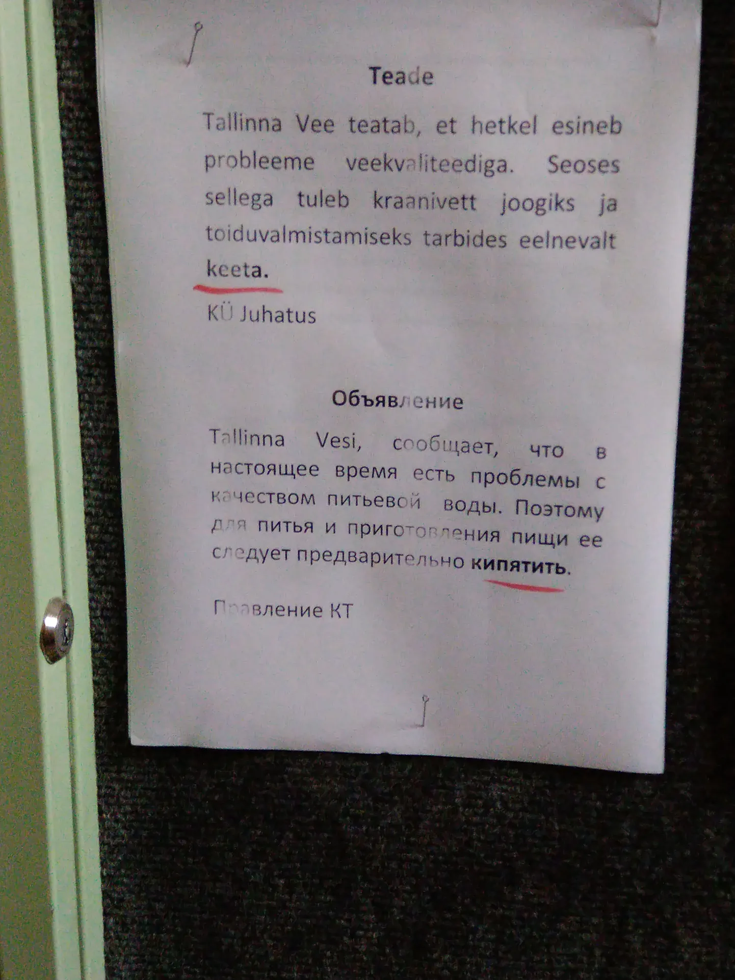 Фото статьи