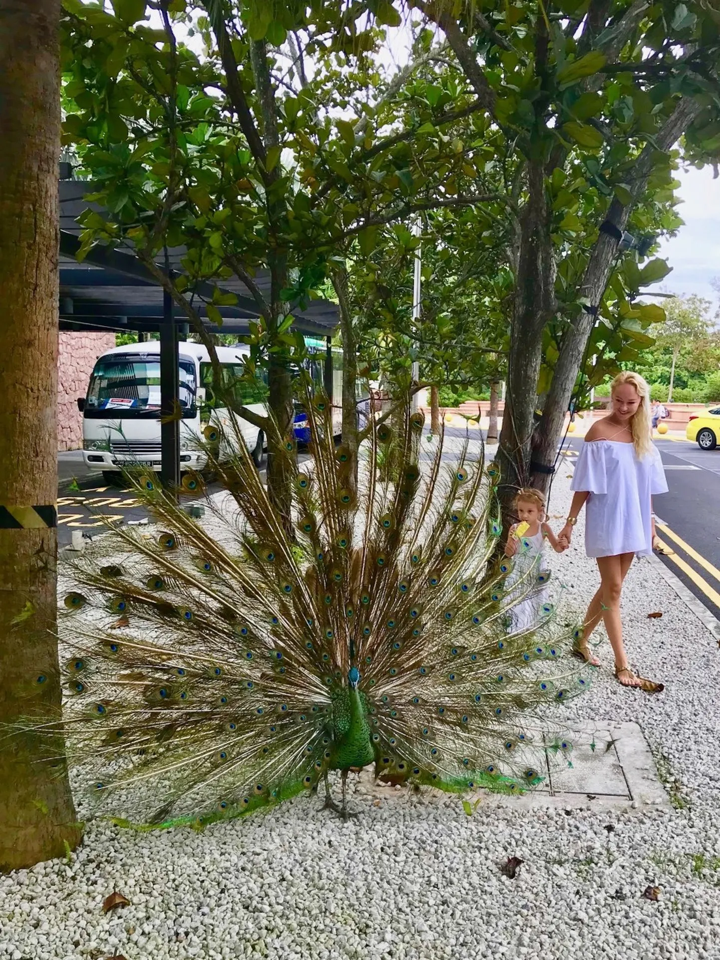 Singapurist raamatu kirjutanud Liis Lassi sõnul on riik väga turvaline.