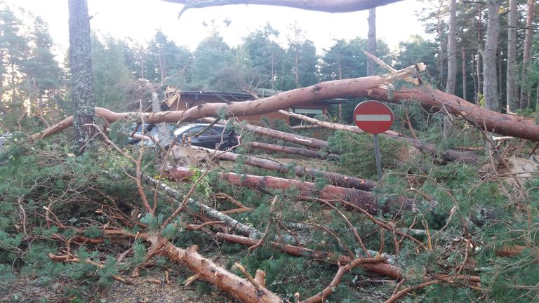 Шторм в Валгеранна повалил деревья на площади в несколько гектаров.