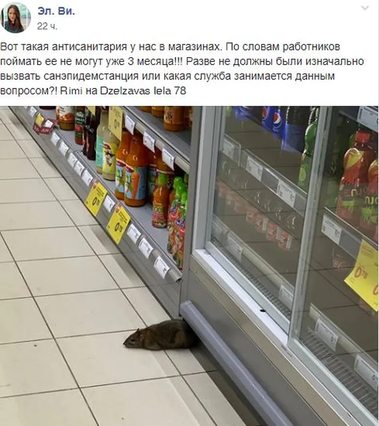 Фото статьи