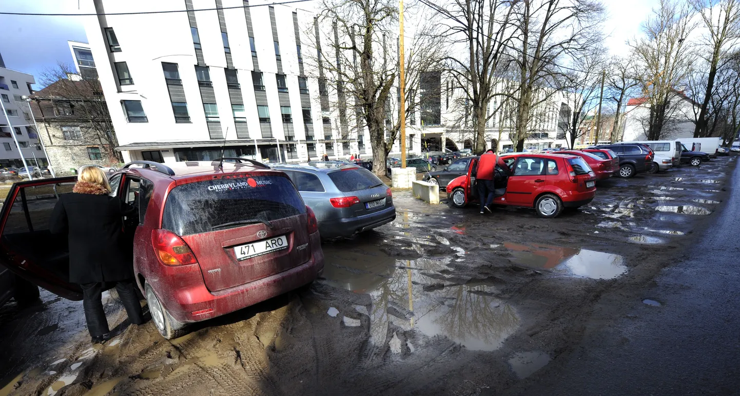 Parkivad autod on Tatari tänava haljasala tõeliseks mülkaks muutnud.