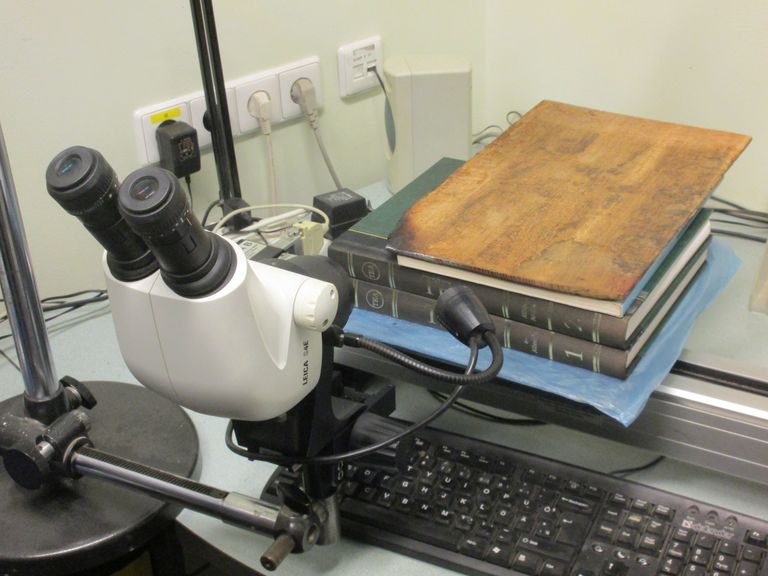 Mikroskoop on tammelaua servalt aastarõngalaiuste mõõtmiseks valmis seatud. Tammetahvel on mõõteaparaadi liikuval aluslaual. Aluslauda koos tammetahvliga nihutatakse aastarõngalaiuse võrra ning hiireklõpsuga läheb nihke pikkus arvutisse.