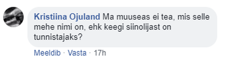 Kristiina Ojulandi kommentaar.