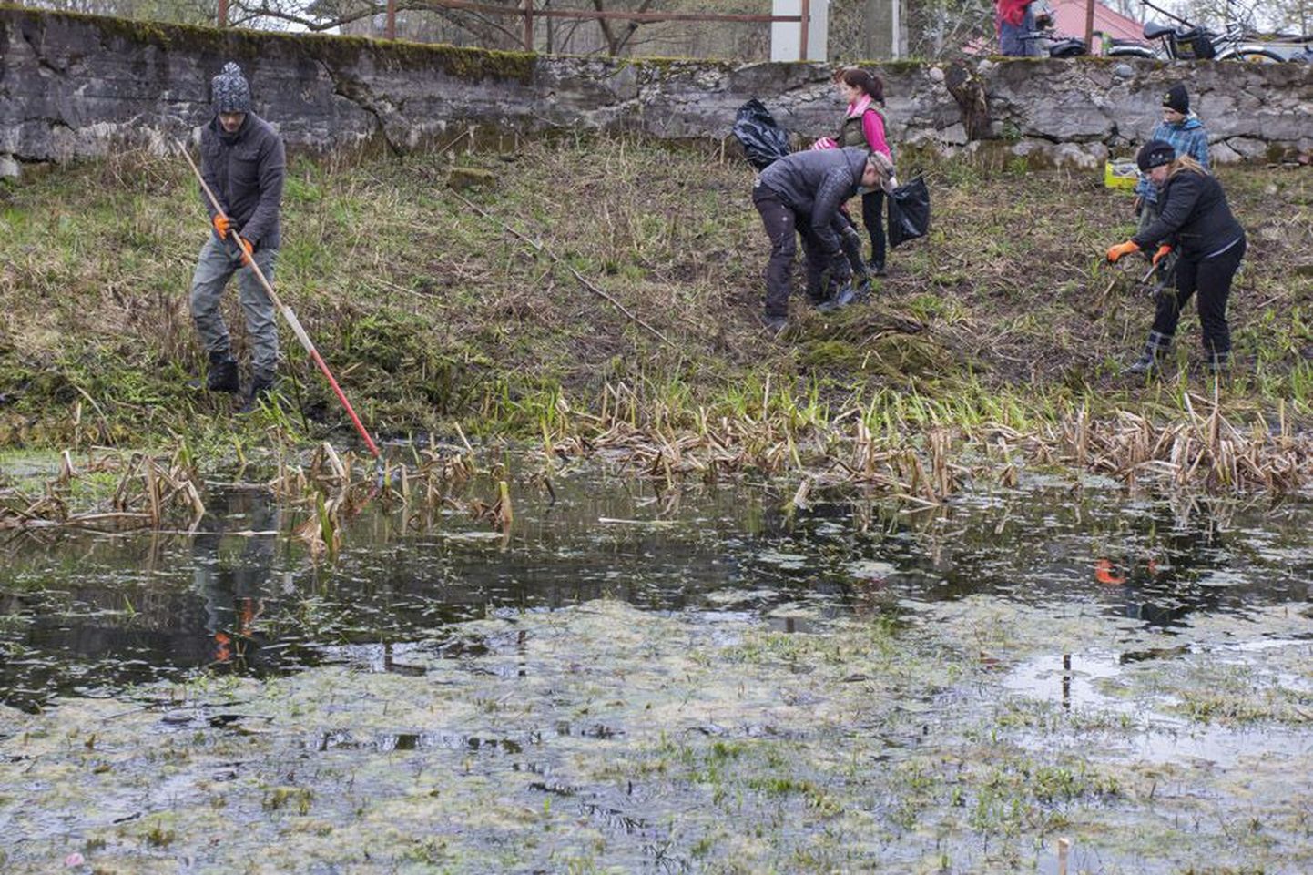 Teiste seas ühed populaarsemad on veeohutusega seotud talgud. Pildil Hariduse ja Talli tänava allika puhastamine möödunud aastal Viljandis.