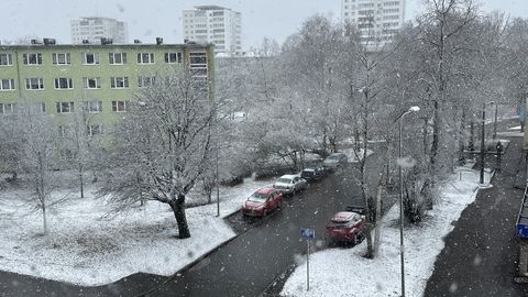 ФОТО И ВИДЕО ⟩ Зима вернулась: в Таллинне выпал снег, по всей Эстонии объявлено предупреждение