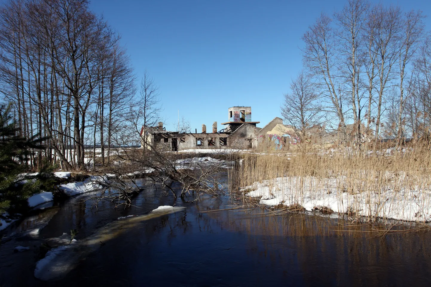 Kloogarand