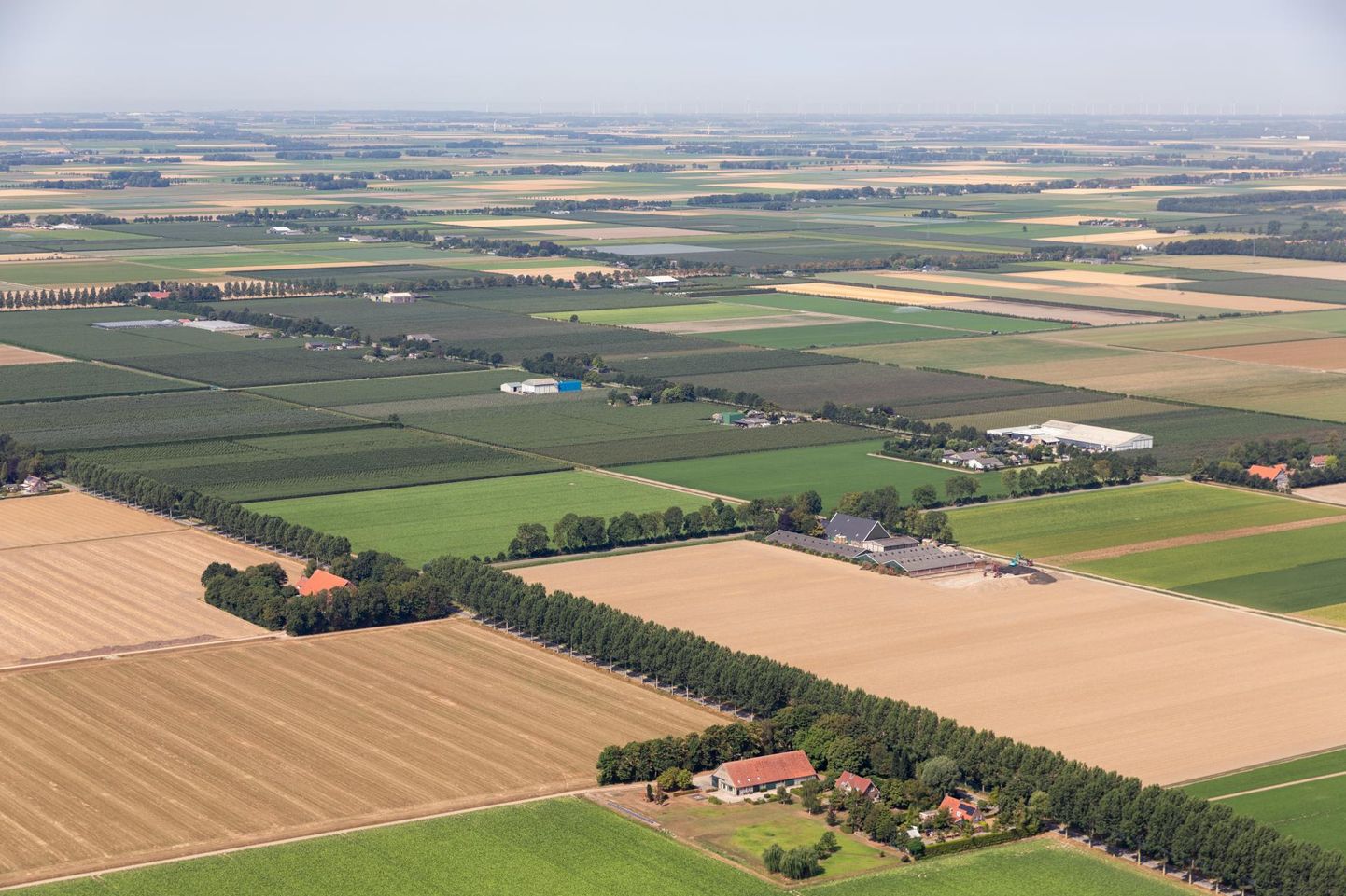 Hollandlasi teeb murelikuks, et intensiivse põllumajanduse tagajärjel kaob loodusest elurikkus ja liigiline mitmekesisus.