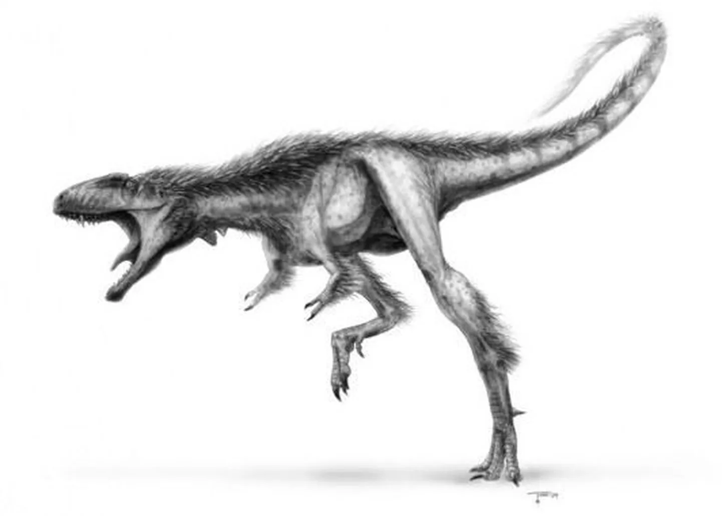 Raptorex kriegsteini