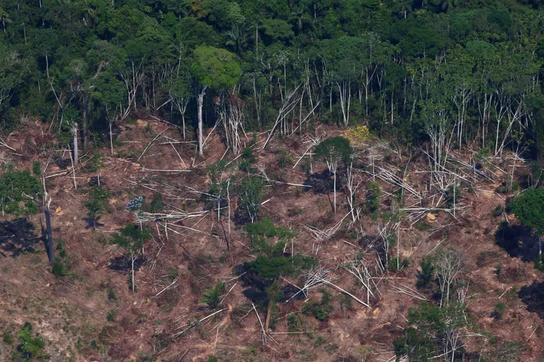 Amazonase Jamanximi riigimetsas Novo Progresso lähedal Para osariigis Brasiilias 11. septembril 2019 on näha raiutud ja põlenud maatükki.