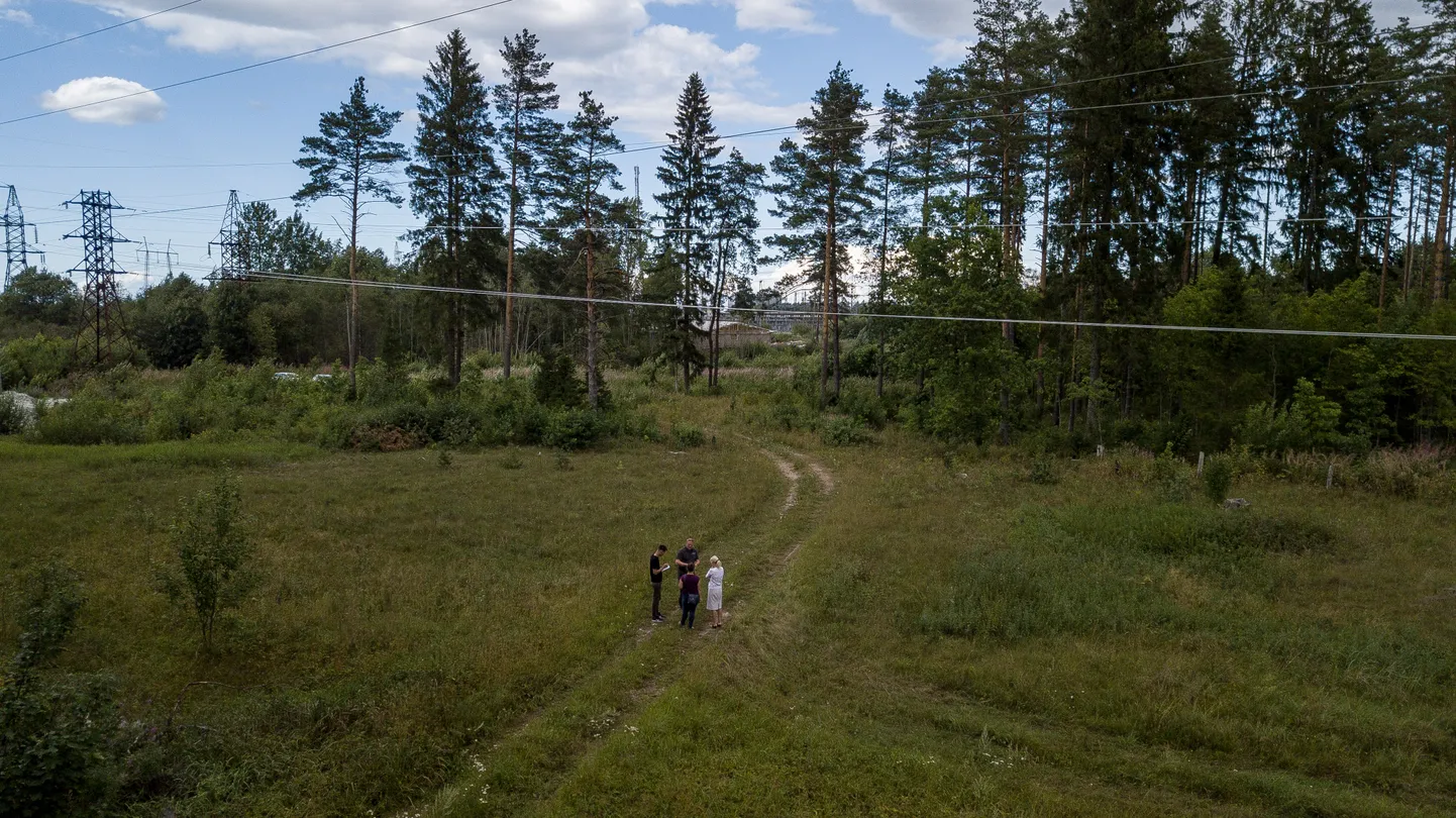 Külli Veidemanni maale ilma loata rajatud Sõnajalgade elektriliin (tagumine, madalam) jookseb kõrvuti seal juba varem olnud Eleringi liiniga.