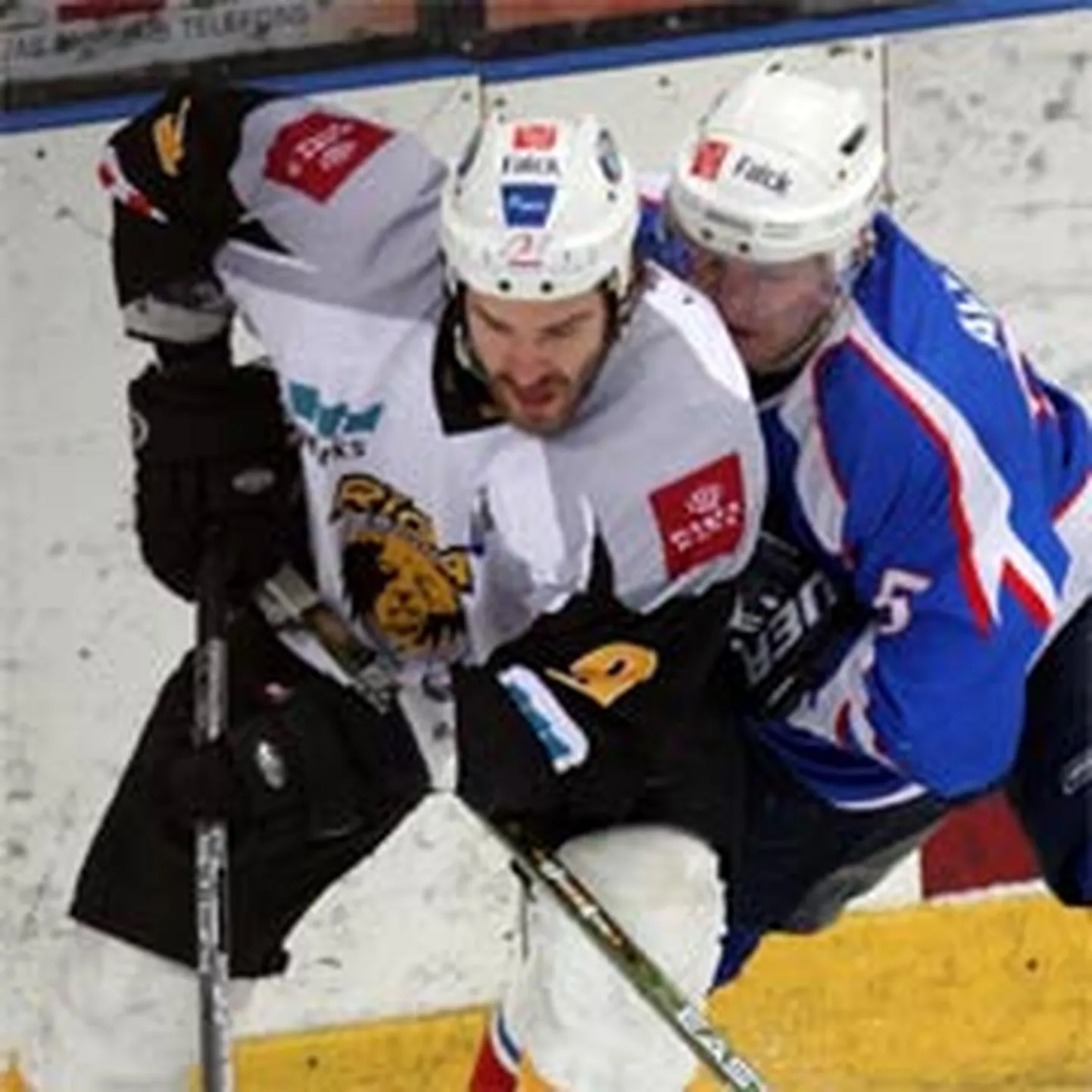 Raksta foto