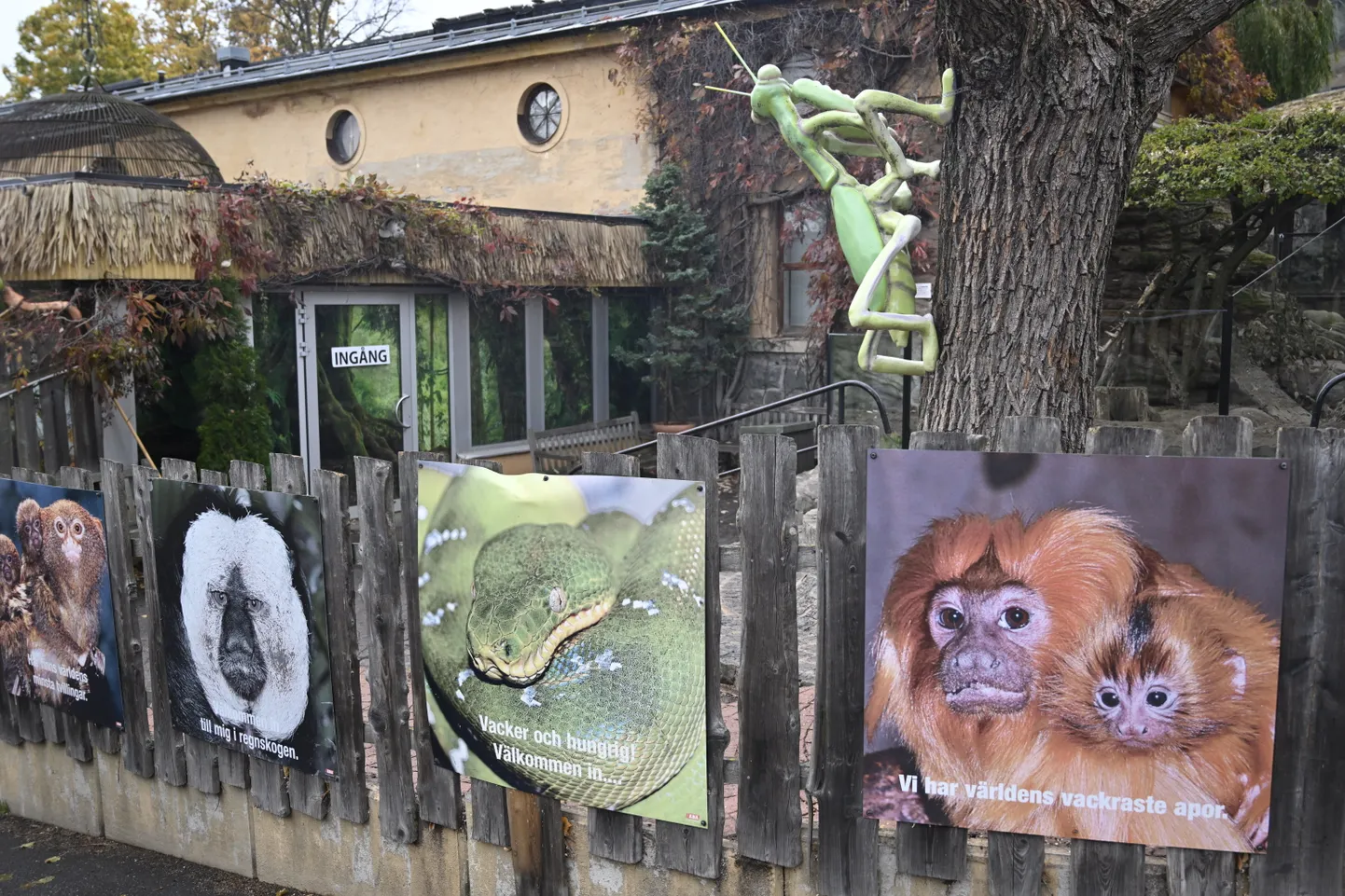 Stokholmas Skansenas zoodārza terārijs