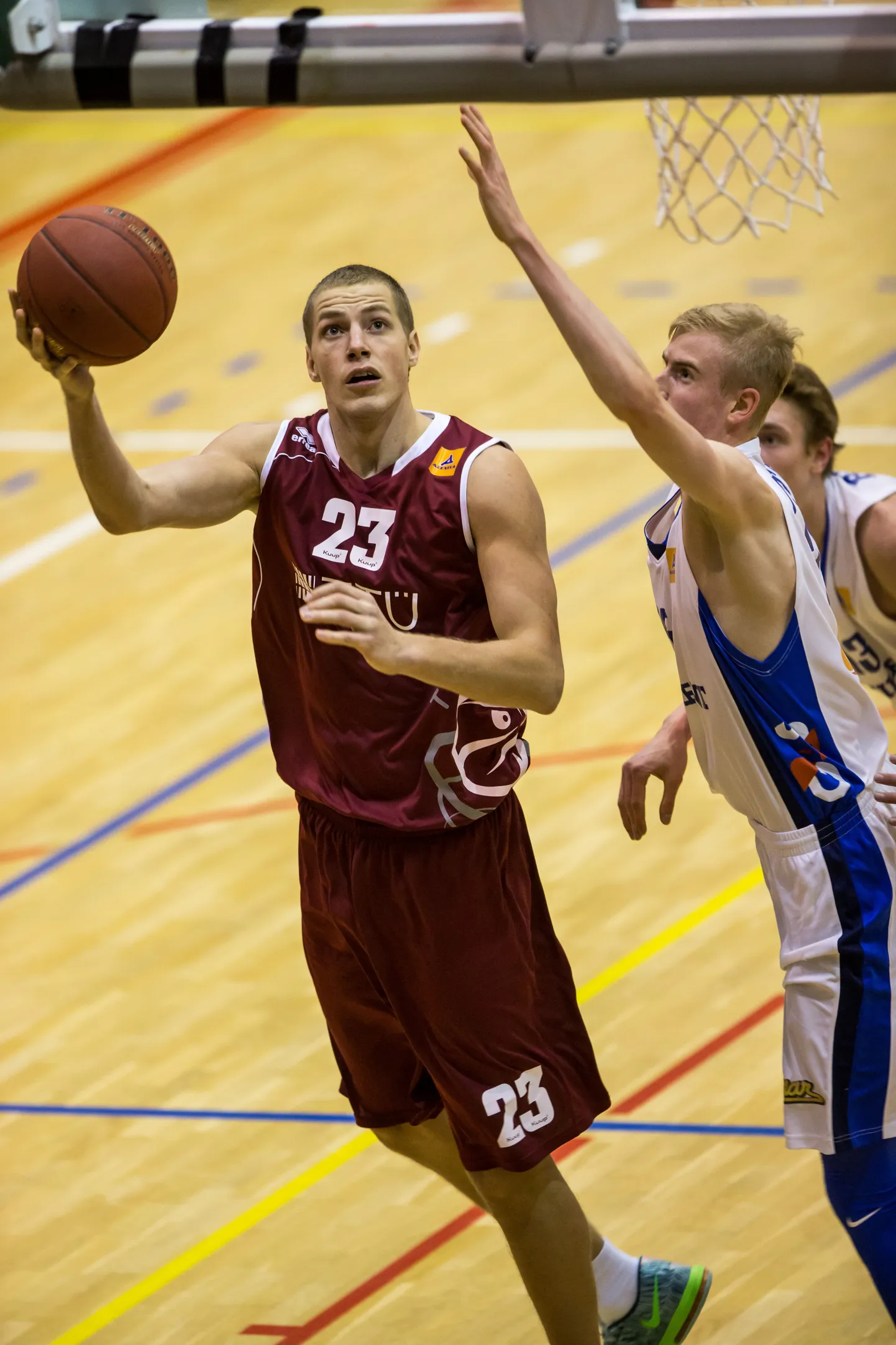 Toomas Raadik